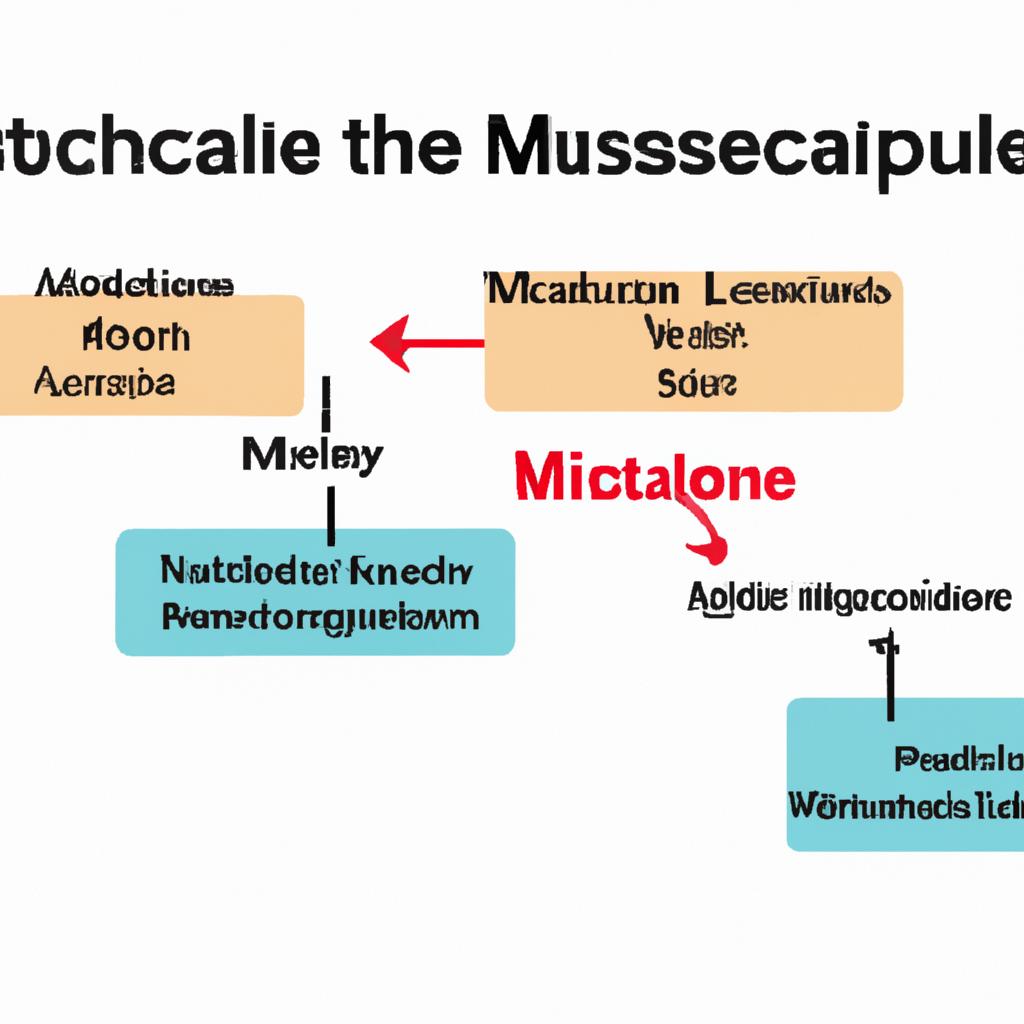 Understanding the Science of ‍Muscle Adaptation ‌and Metabolism