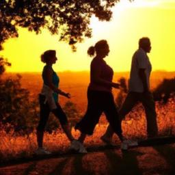 Exploring the Low-Impact Power of Walking for Enhanced Well-Being